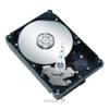 Seagate ST3750640NS